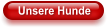 Unsere Hunde